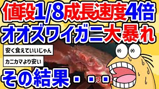 【2ch面白いスレ】｢オオズワイガニ｣とかいう偽ズワイガニが大量発生 ズワイガニ市場をぶっ壊す石川・金沢の冬の味覚「加能蟹」と「香箱蟹」カニ食べ放題！コスパ抜群な温泉旅館カニを【2chスレ ゆっくり】