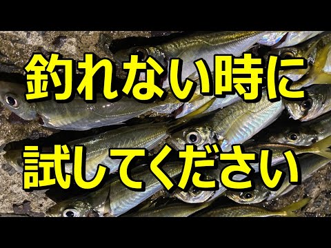 【サビキ釣り】魚がいない？ちょっと待って！仕掛けを変えるだけで爆釣しますよ♪【50釣目】【アジ】