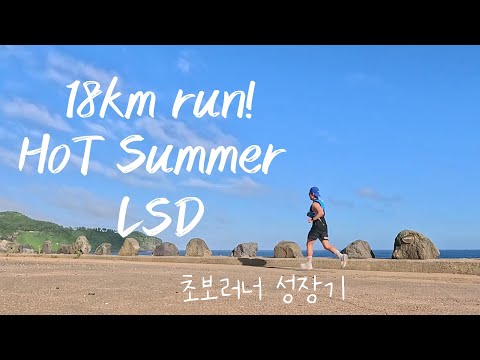 폭염 LSD 훈련 제주 초보러너 성장기