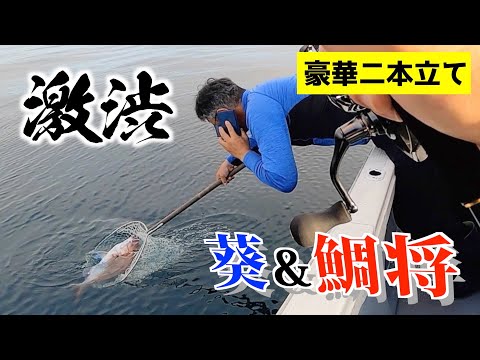 【真鯛】後半戦スタート！猛暑が釣り人の出足を鈍くし、陸奥湾はほぼ独占状態。チャンス、チャンス