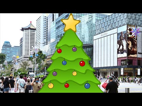 Orchard Road Christmas Trees