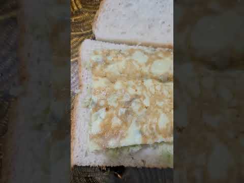 Sandwich with chutney and omelette