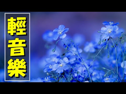 【薩克斯風 睡眠】🎷30首 薩克斯風 輕音樂 放鬆解壓 🌺 夜晚最適合聽的 轻音乐 放松🎵 累了煩了就聽聽 醉人醉心！ 無廣告音樂  Relaxing Chinese Saxaphone Music