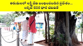 తిరుమలలో లక్ష్మీ దేవిని బంధించిన ప్రదేశం  - ఇక్కడ కనకధార చదివితే | Ananthalwar | Nanduri Srinivas