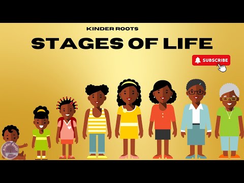 Stages Of Life | The Journey of Life: From Baby to Elderly | Human Life Cycle | Kinder Roots