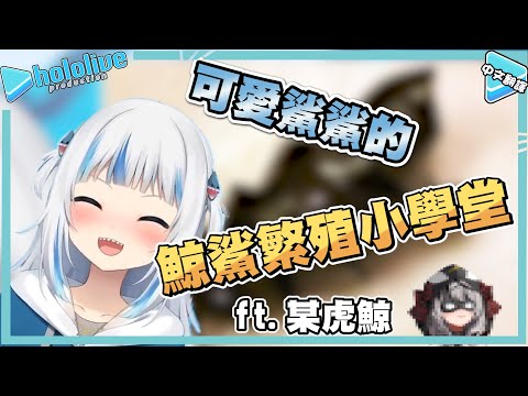 鯊鯊學堂之鯊魚蛋知識  同場加映: 虎鯨【Gawr Gura】【vtuber中文翻譯】