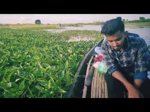 আমি এসেছি অন্য এক চা বাগানে | Tea Gerden