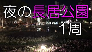 新装 夜の長居公園1周　まさかあんな事になるとはこの時、僕は知る由も無かった、、