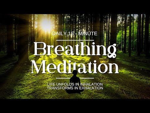 🎧Daily 15-minute breathing meditation｜Activate Inner Healing Ability｜Activate your parasympathetic