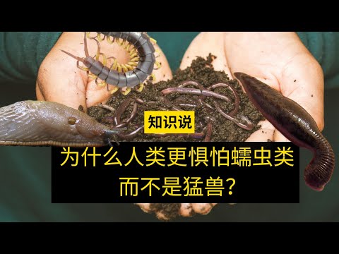 为什么人类更惧怕蠕虫类而不是猛兽？- 知识说