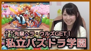 【パズドラ】「私立パズドラ学園」超級で↑↑先輩ヘラ・ウルズゲット！【小河悦子】