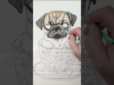 Teacup pug watercolor painting. Part 1 #watercolorpainting #pug  #shorts