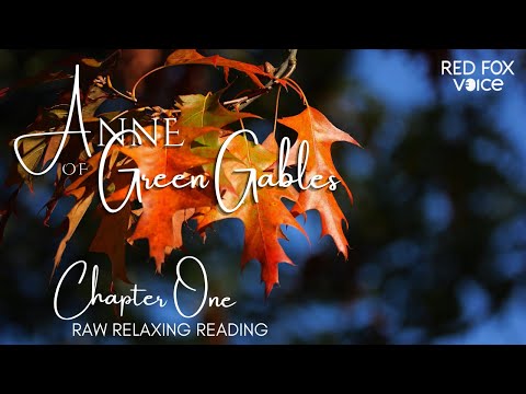 Reading: Anne of Green Gables to you (Chapter 1) 🦊🎶 a raw, pure 'n' relaxing audiobook for all ages