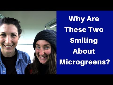 Urban Farming With Microgreens!