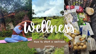 How To Start A Wellness Journey| Tips for Young Professionals| Part 1