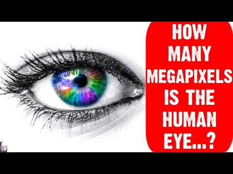 Unveiling the Wonders of the Human Eye: How Many Megapixels Can It Capture👁️Bright Lab | Real Facts