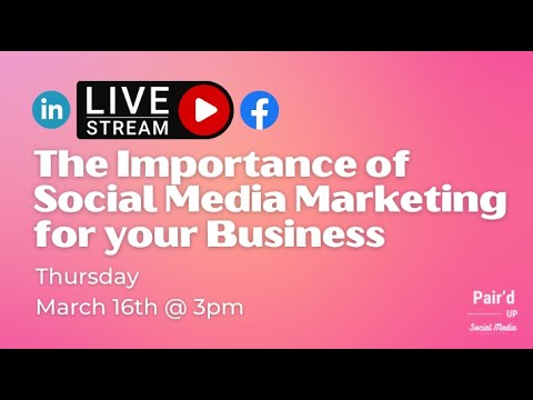 The Importance of Social Media Marketing for your Business