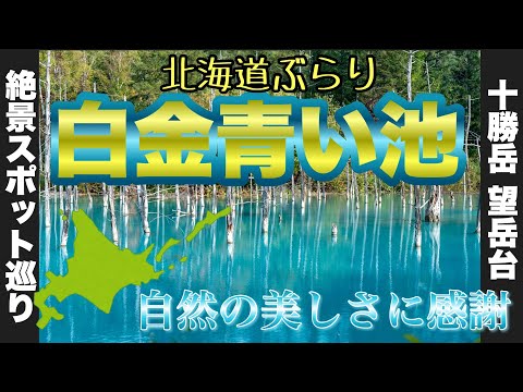 【北海道.旅行.撮影】北海道の白金青い池に行ってみた！