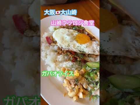 大阪🇯🇵大山崎 「山崎ウラロジ食堂」 優しい味がほっこりする！可愛い店内♬真横を通過する電車の振動が面白い◡̈ 窓からの景色はサントリー山崎の蒸留所工#グルメ #大阪グルメ #サントリー山崎