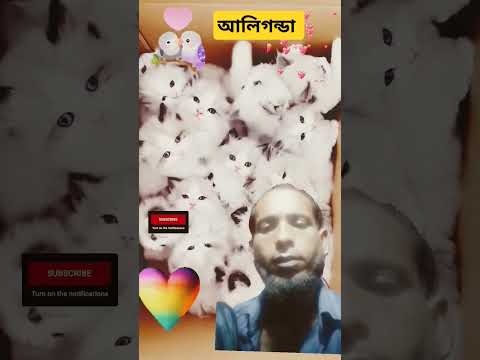 আলীকুন্ডা #motivation #video #funny &