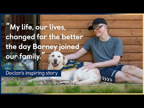 Declan’s Sight Loss Story | How Buddy Dog Barney Has Changed The Whole Family’s Life | AD