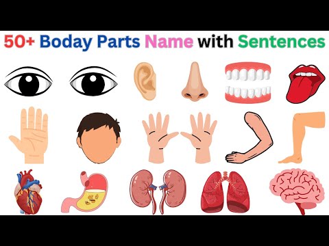 50 Basic Parts of the Body with pictures | English Sentences for Kids |  #kidslearning #bodyparts