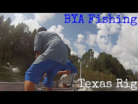 5lb Bass on Texas Rigged Worm