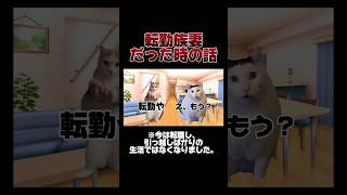 転勤族妻だった時の話🐱毎年引っ越ししてました、、#猫ミーム #shorts #転勤族