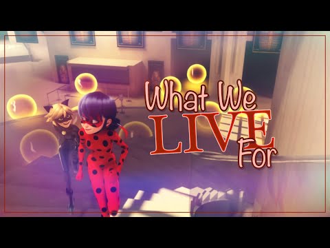 Miraculous Ladybug MV // ♥ What We Live For ♥ (Ladynoir)