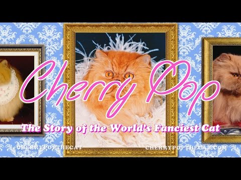 Cherry Pop: The Story of the World's Fanciest Cat | Teaser