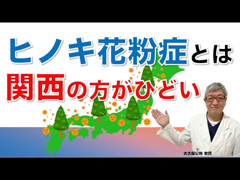 ヒノキ花粉症の特徴は？関西は関東よりひどい？大久保公裕先生がやさしく解説