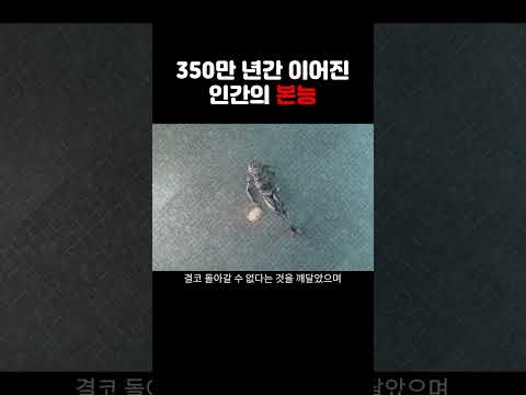 350만 년간 이어진 너무나 소름끼치는 인간의 삶...