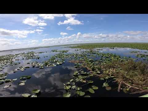 My trip to Florida 2020 part 7 airboat ride 🐊 with my gopro Hero 7