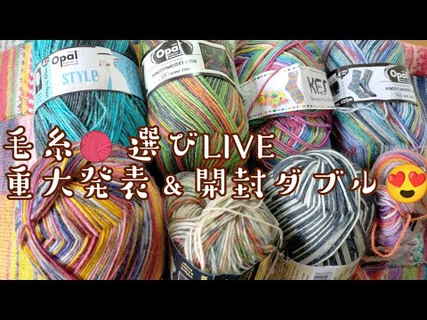 【編み物ライブ🎤】重大発表＆開封ダブル🧶ソックブランケット毛糸選びLIVE