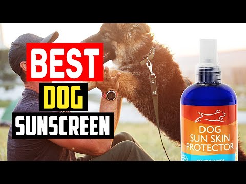 ✅Best dog sunscreen in 2023