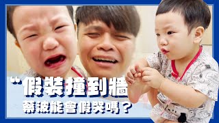 【波能日常#26】假裝撞到頭！測試戲精蔡波能會假哭嗎？(1Y4M5D)