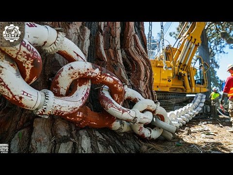 The Most Dangerous And Most Powerful Machines | Ingenious Tools And Equipment!