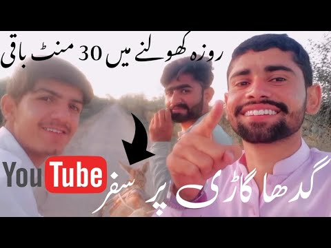 talking donkey | bolny wala gadha 😂 | vlogs pakistani | vlogs for all