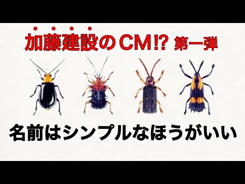 カトケンCM企画 一時間目【理科編】