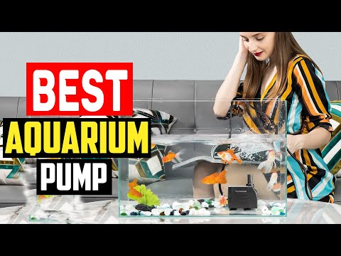 ✅ Best Aquarium Pump in 2023