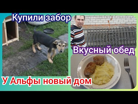 Понедельник! Забыла положить яйца! Купили забор в полисадник!