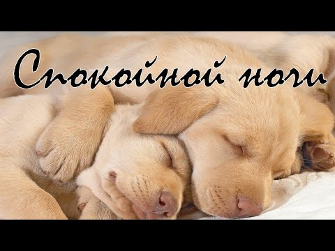 СПОКОЙНОЙ НОЧИ И ПРИЯТНЫХ СНОВ😌КРАСИВОЕ МУЗЫКАЛЬНОЕ ПОЖЕЛАНИЕ ДЛЯ ТЕБЯ🤗😌