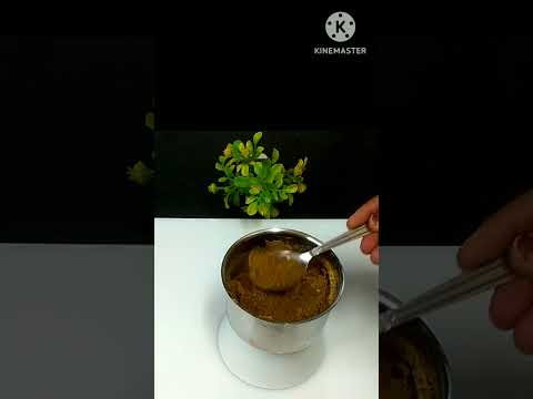 Chai masala recipe#chaimasalapowder #chaimasala #masalachai #shorts #vandana'skitchen