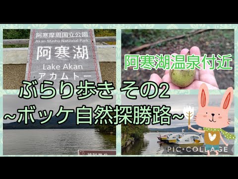 vol.688 北海道 阿寒湖温泉周辺 ぶらり歩き その2 ~ボッケ自然探勝路~