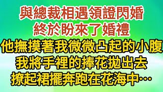 大結局【下】《誤入豪門》第22集：與總裁相遇領證閃婚，終於盼來了婚禮，他撫摸著我微微凸起的小腹，我將手裡的捧花拋出去，撩起裙擺奔跑在花海中……#戀愛#婚姻#情感 #愛情#甜寵#故事#小說#霸總