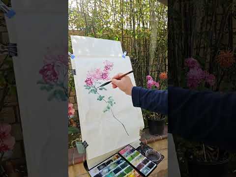 The 2nd  of 2 outdoor chrysanthemum sketches I did in my backyard today