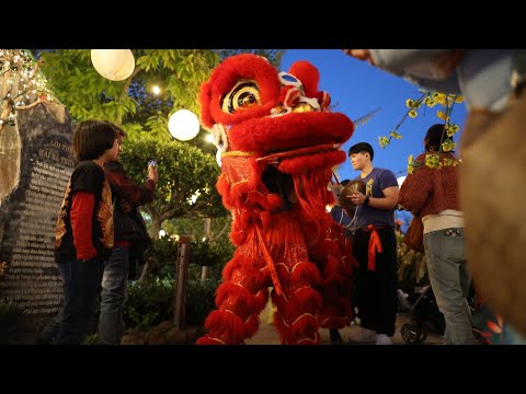 Lion dance at chùa Đức Viên Tết 2024