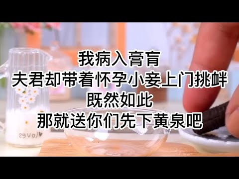 我病入膏肓，夫君却带着怀孕小妾上门挑衅，既然如此