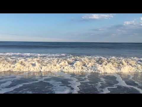 Soothing Ocean Wave Sounds