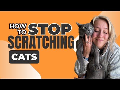 How I got my Cat to STOP Scratching my Furniture!